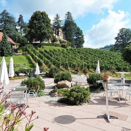 Wein Lodge Durbach - Josephsberg エクステリア 写真
