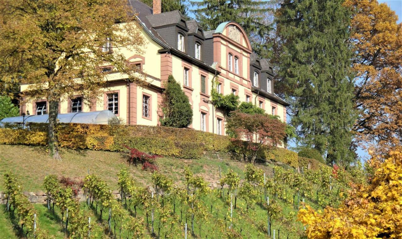 Wein Lodge Durbach - Josephsberg エクステリア 写真